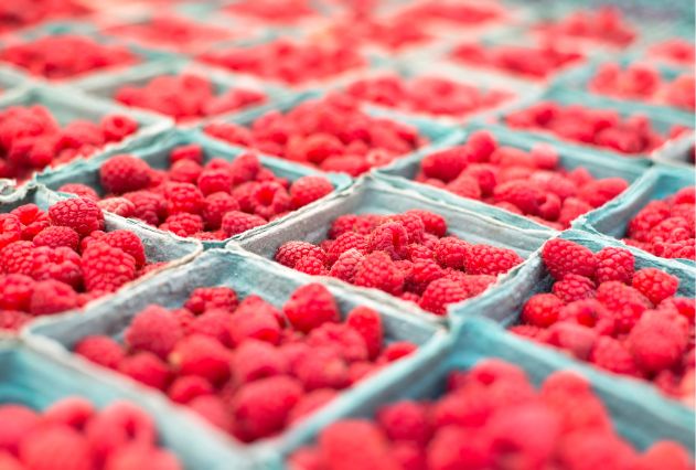 xr:d:DAFosnrAQEo:34,j:4563668928909884633,t:23071514