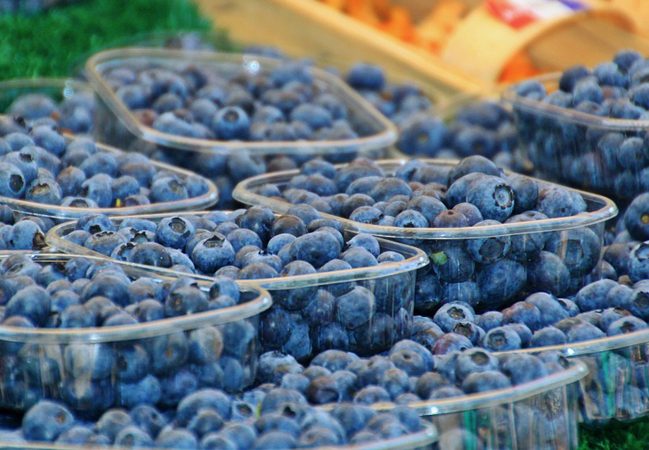 4340a62-783b267-5c55479-blueberries-1--1-